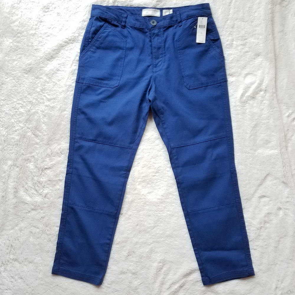 Anthro Hei Hei Button Fly Chinos Sapphire sz 29